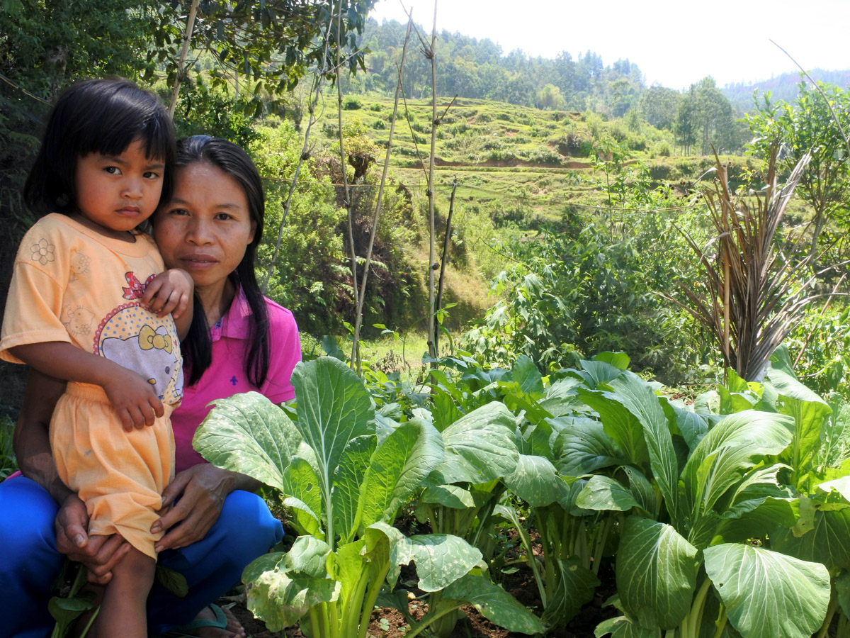 Indonesia photos