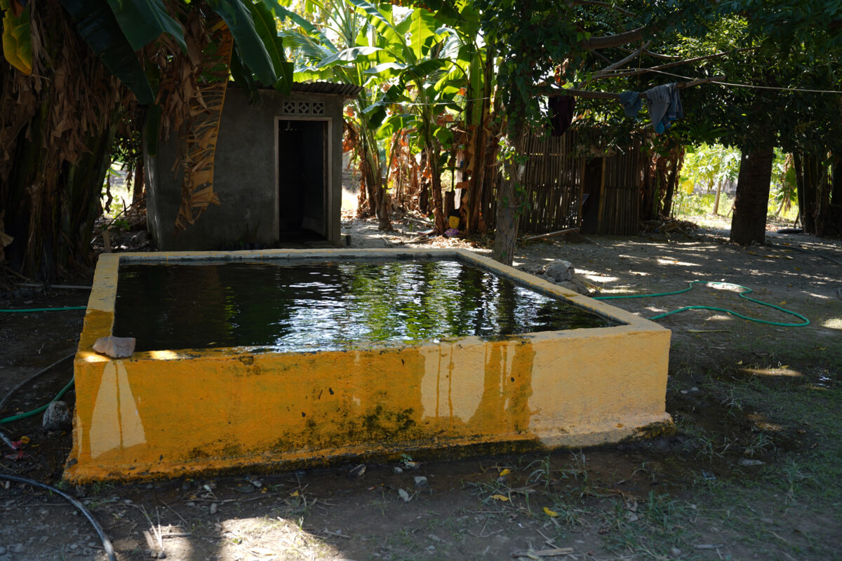 Provide a year of food and water security to a family in Honduras