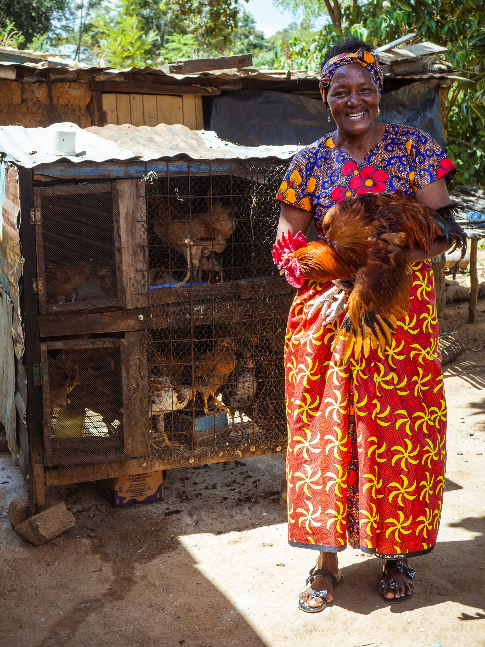 Featured image for “Clucking to Success: Mama Nguyo’s Inspirational Journey”