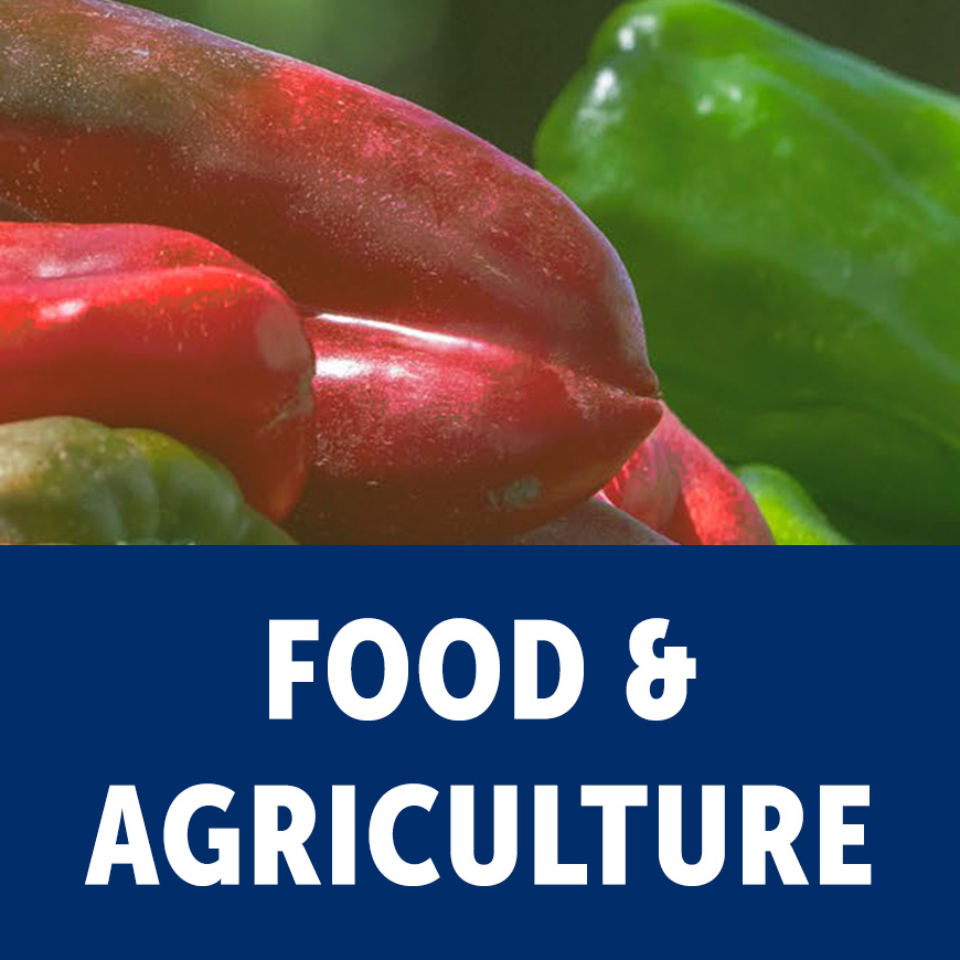 Food + Agriculture